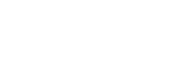 Feg logo